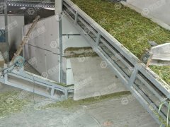 小麥秸稈烘干現(xiàn)場